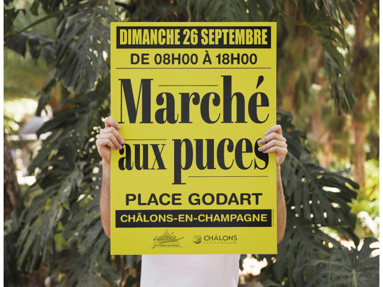 Affiches fluo Format Standard