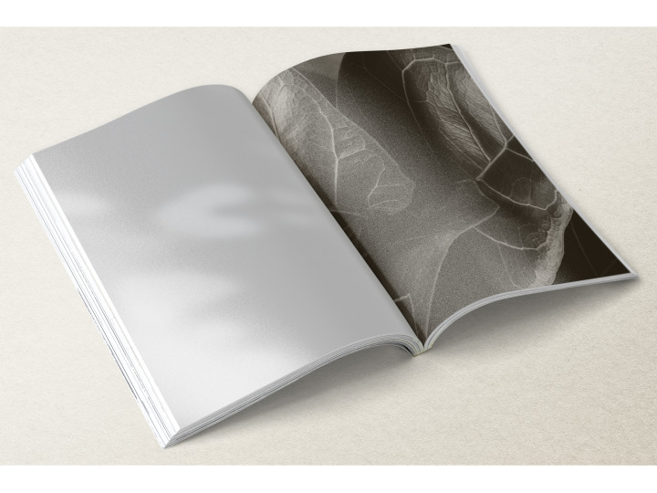 Brochure Dos Carré Collé A4 Portrait 21 x 297cm